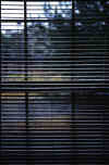 Window.jpg (38704 bytes)